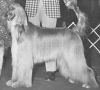 Thumbnail of Alharin Wahiai