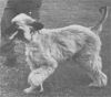 Thumbnail of Joshua Of Well-Dun