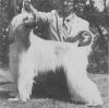 Thumbnail of Tully's Rajah's Ransom