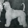 Thumbnail of Sun Country Apollo