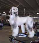 Thumbnail of Shining Mountain Sunshine On Hosanna