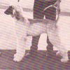 Thumbnail of Khadine's Special Imprint