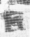 Thumbnail of Gold Coast Brass Spangle