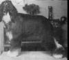 Thumbnail of Zul-Khan of Wilcroft