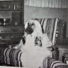 Thumbnail of Karamoor's Karogue Of O'Havoc