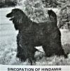 Thumbnail of Sincopation Of Hindamir