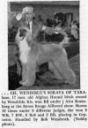 Thumbnail of Wendiblu's Soraya Of Taralane