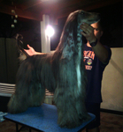 Thumbnail of Valentino Filho of Mahadi