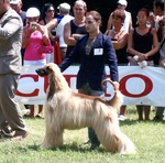 Thumbnail of Golddragon Abel The Kid