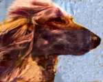 Thumbnail of Rudiki Of Prides Hill
