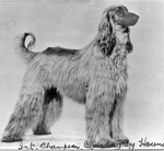 Thumbnail of Bletchingley Houndsman