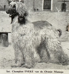 Thumbnail of Ineke van de Oranje Manege