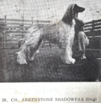 Thumbnail of Arkenstone Shadowfax