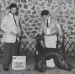 Thumbnail of Sahiba Sabotage