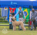 Thumbnail of Guaicanamar D’Puerta Elpidio