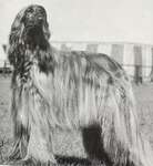 Thumbnail of Lissue Salom At Tulak