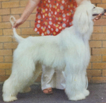 Thumbnail of Jallal Scene Stealer