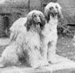 Thumbnail of Fantasia Of Carloway