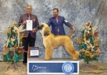 Thumbnail of Du Troisieme Jour Uzziel De Shante Et Sovereign