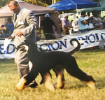 Thumbnail of Paris De Cuba Afrika's Queen