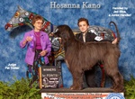 Thumbnail of Hosanna Kano