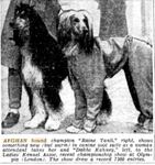 Thumbnail of Ajawaan Ranee Tamba