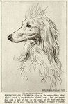 Thumbnail of Firdausi Of Geufron