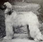 Thumbnail of Jinga Of Carloway