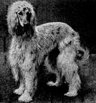 Thumbnail of Marika Of Baberbagh