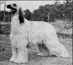 Thumbnail of Jordaan Virgo