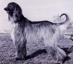 Thumbnail of Cammar's Pa' Yunga Of Grandeur