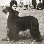 Thumbnail of Horningsea Mitanni