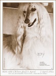 Thumbnail of Ben Ghazi's Apryl