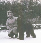 Thumbnail of Chandhara's Little Bijou Of Gray Dawn