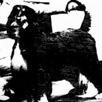 Thumbnail of Lala Rookh Of Estioc