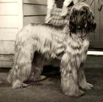 Thumbnail of Khyber Khorran