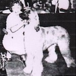 Thumbnail of Majara Muhaqqaq Chiz