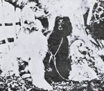 Thumbnail of Tribesman Of Pushtikuh