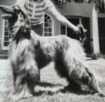 Thumbnail of Furbari Fourpence