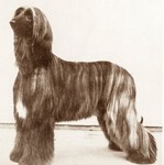 Thumbnail of Akaba's Brass Bangle