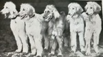 Thumbnail of Firdausi Of Geufron