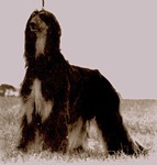 Thumbnail of Mecca's Zeus