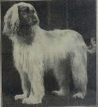 Thumbnail of Shah Shuja Of Geufron