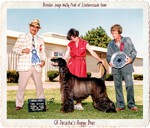 Thumbnail of Dacasha's Huggy Bear