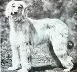 Thumbnail of Chandra Of Closmidi