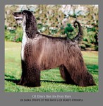 Thumbnail of Elmo's Men Are From Mars