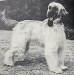 Thumbnail of Calahorra Balalayka