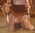 Thumbnail of Mahali Circe