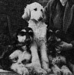 Thumbnail of Netheroyd Elibaba