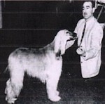 Thumbnail of Sheba Of Scheherezade (1957)